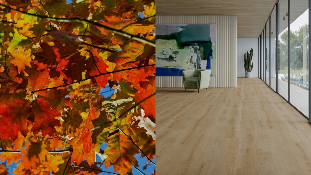 Imagem de Transforme seu lar no outono: dicas de decoração para um refúgio aconchegante